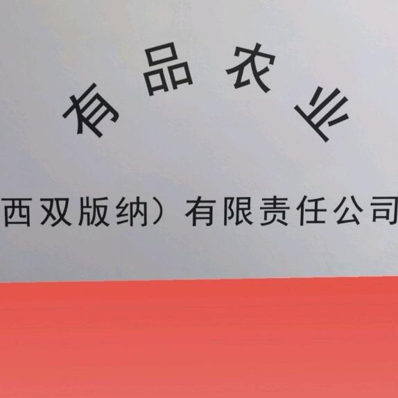 七星麒