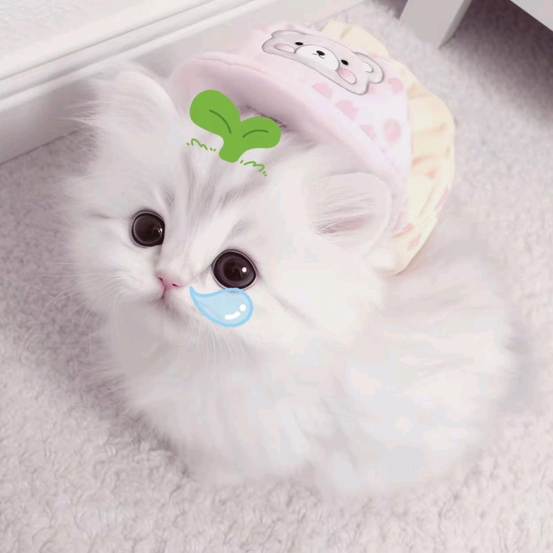 加个茶叶蛋