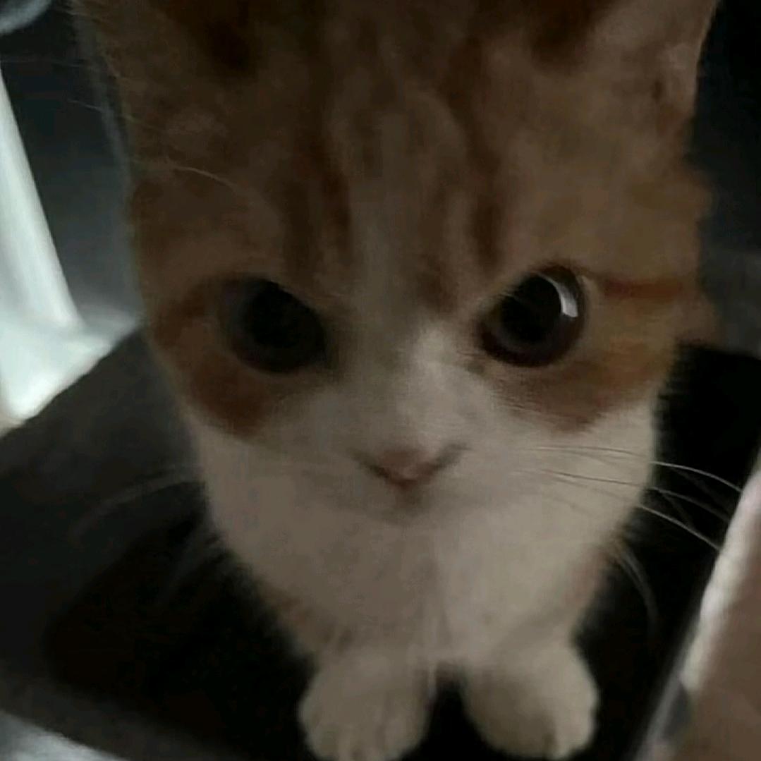 歇一会