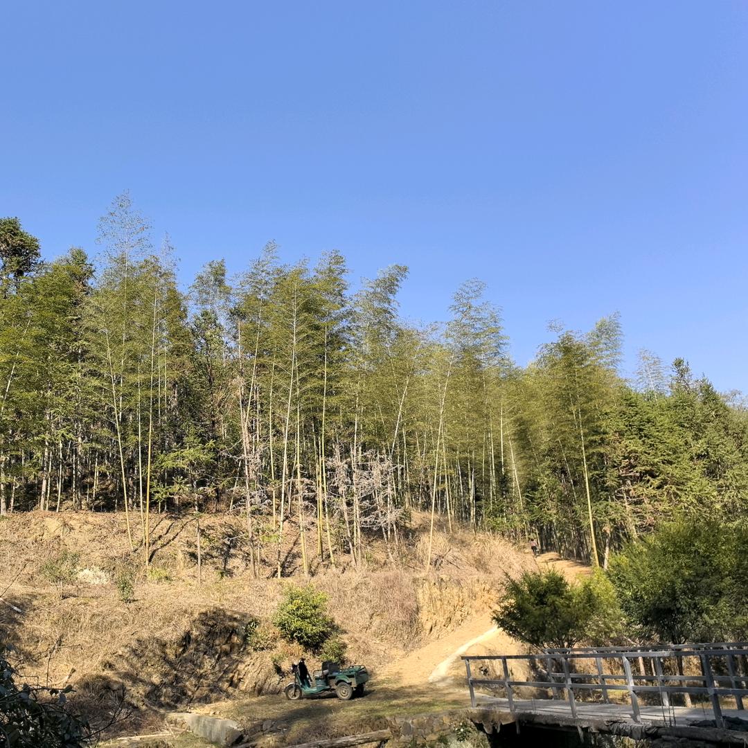 土生土长