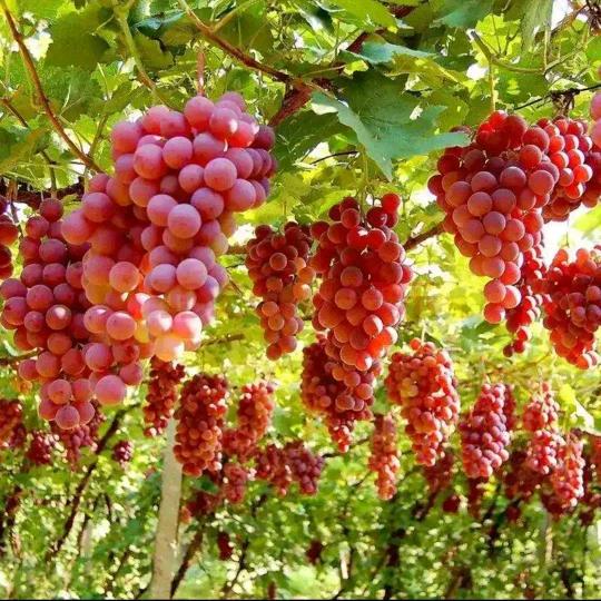 王德胜创意生活坊