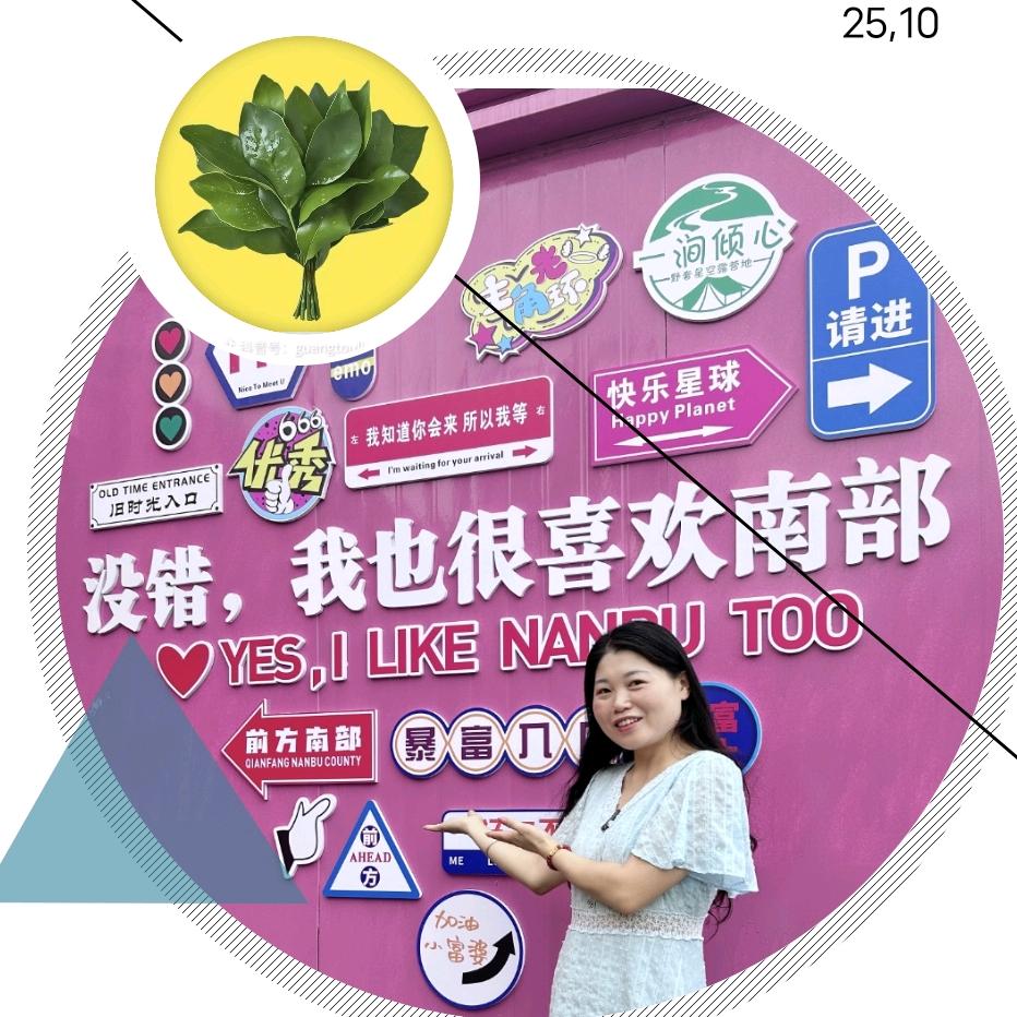 南部县蜀北街道办事处三一房产