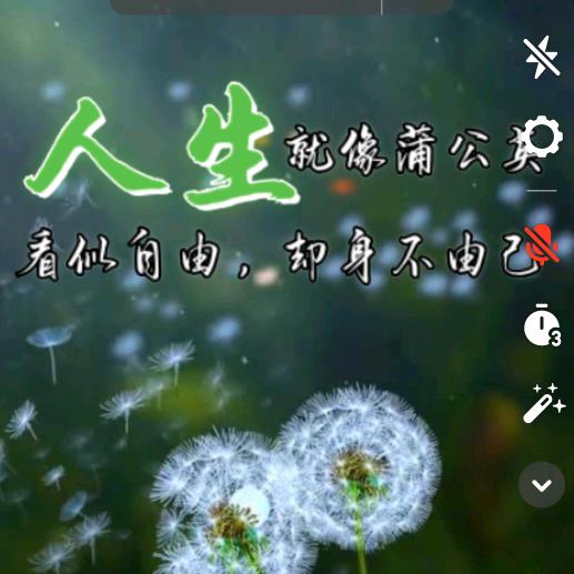 向日葵🌻一样微笑！