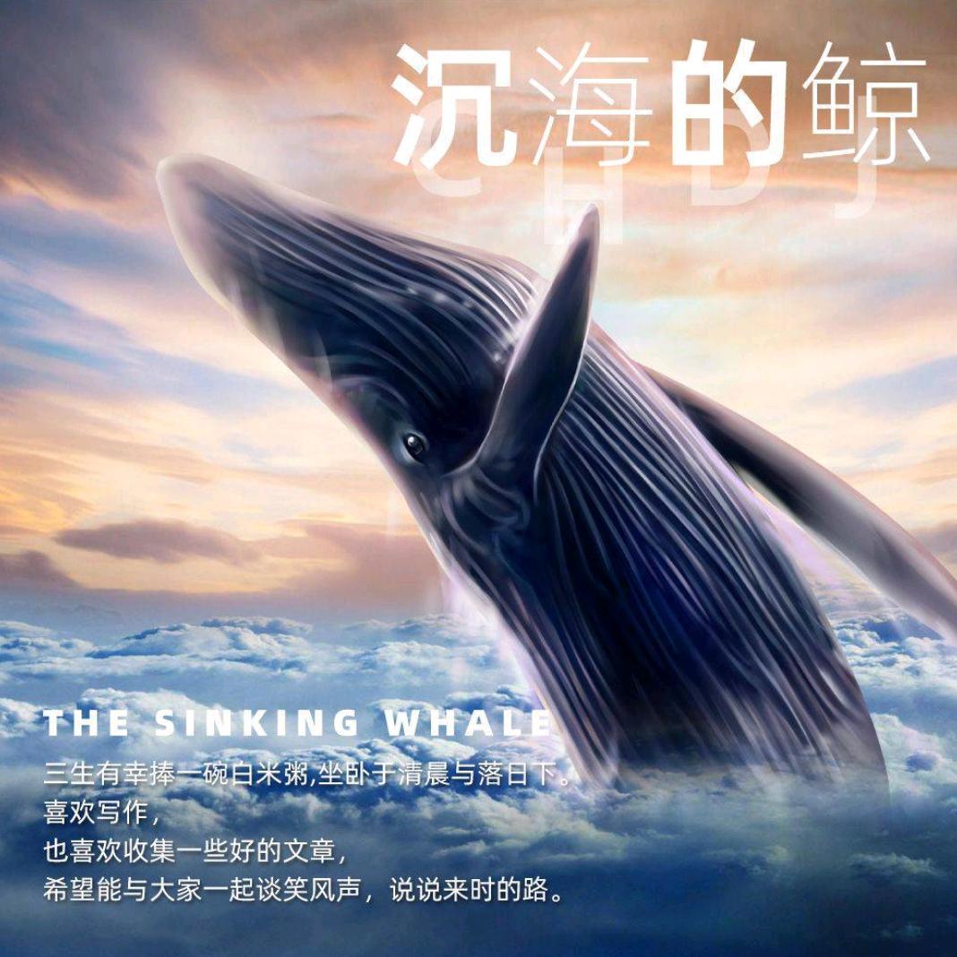 喜欢摄影的北北