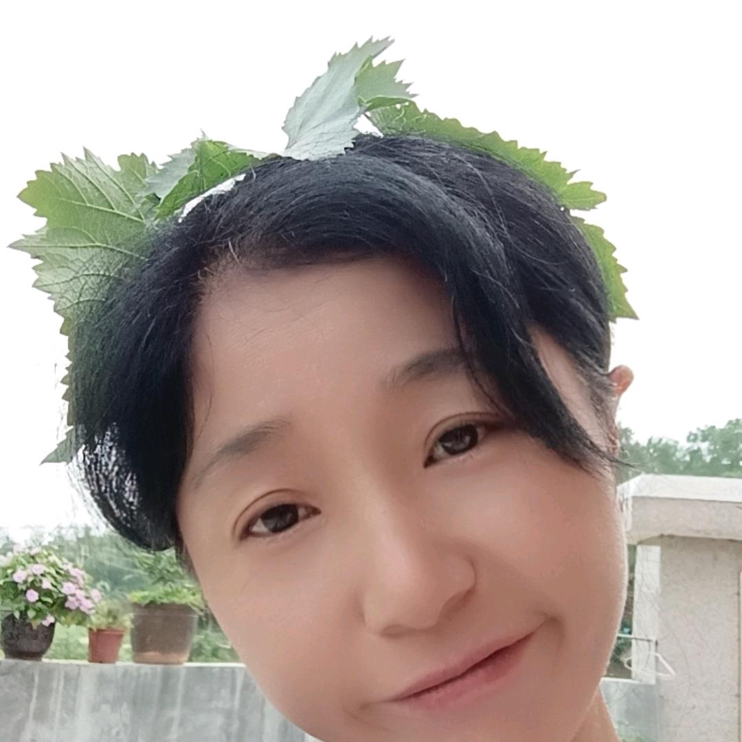 乐儿