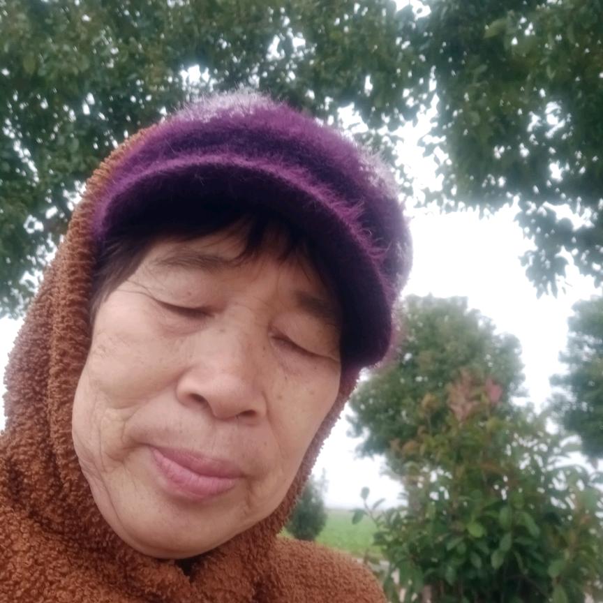 吴妈妈