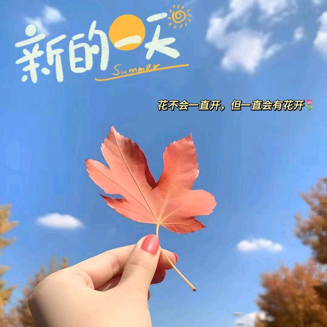 华子18668950222
