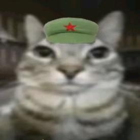 n墨子