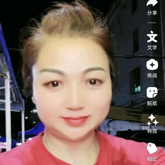 砂锅粥   猪肚鸡