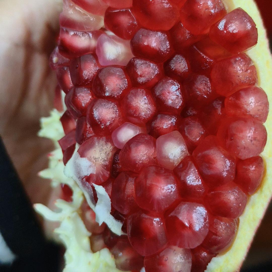 缘来缘去