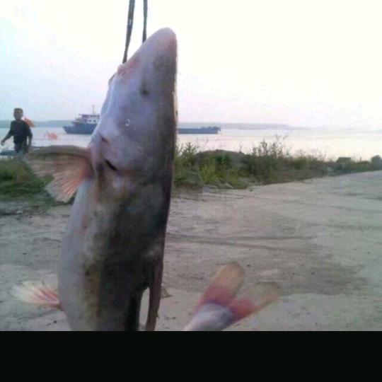 小余儿（农村75年的兔子大叔）