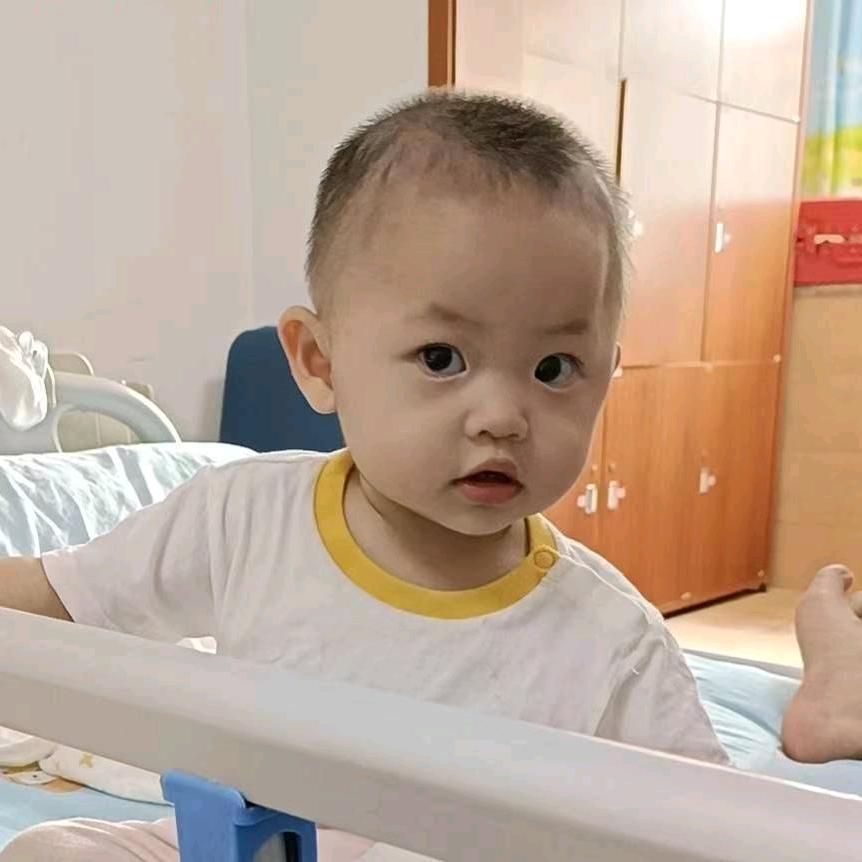 勇敢的西西小宝