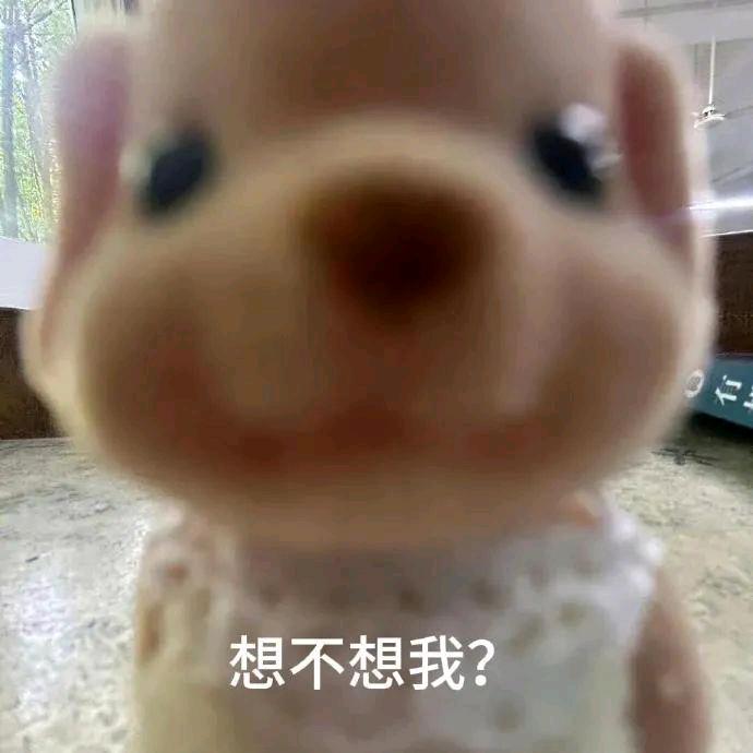 冰淇淋大盗