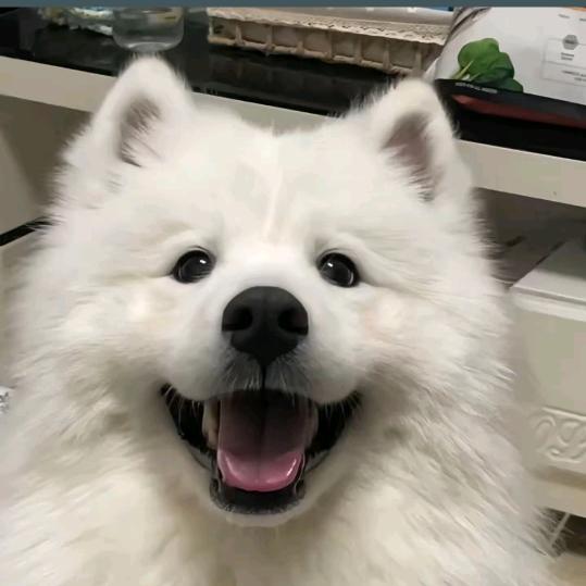 乐天