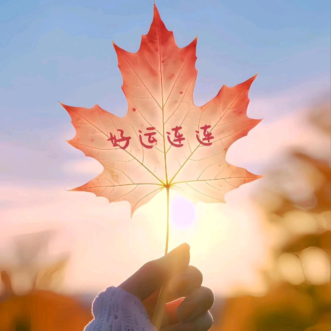 浅忆微凉