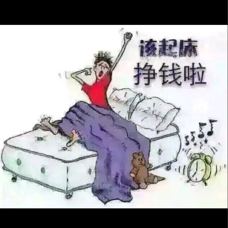 鲁R