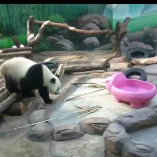 缘来缘去