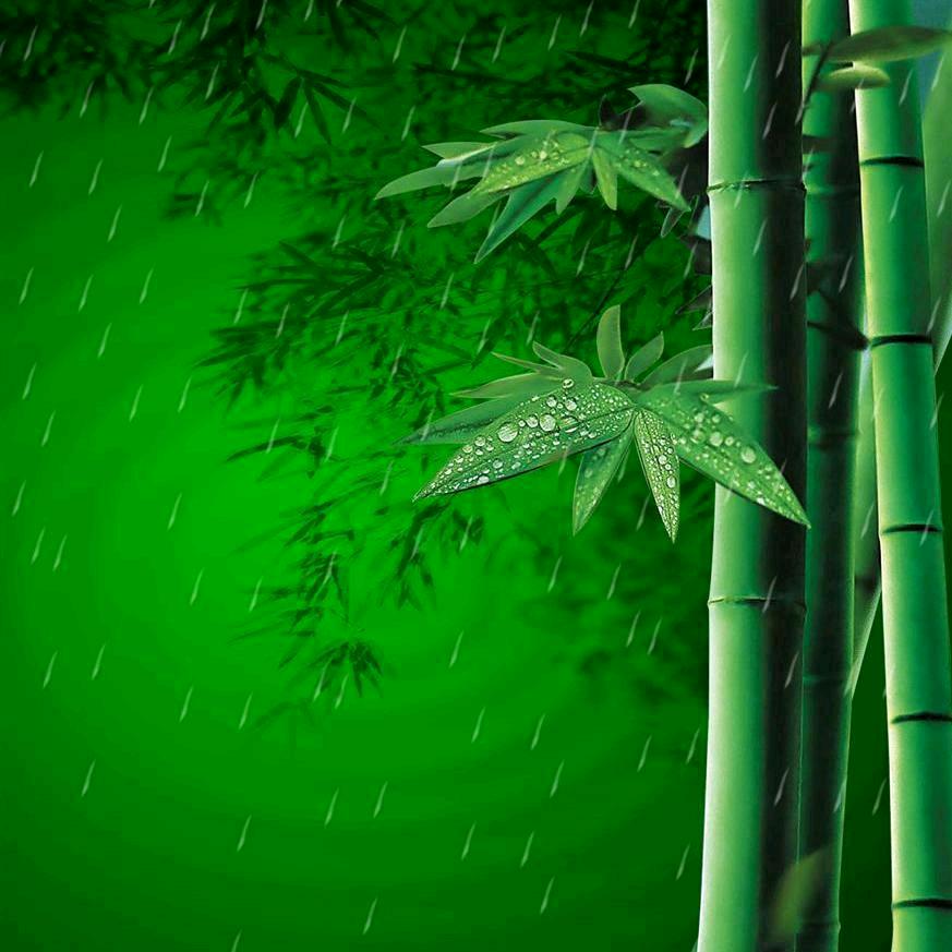曾经沧海