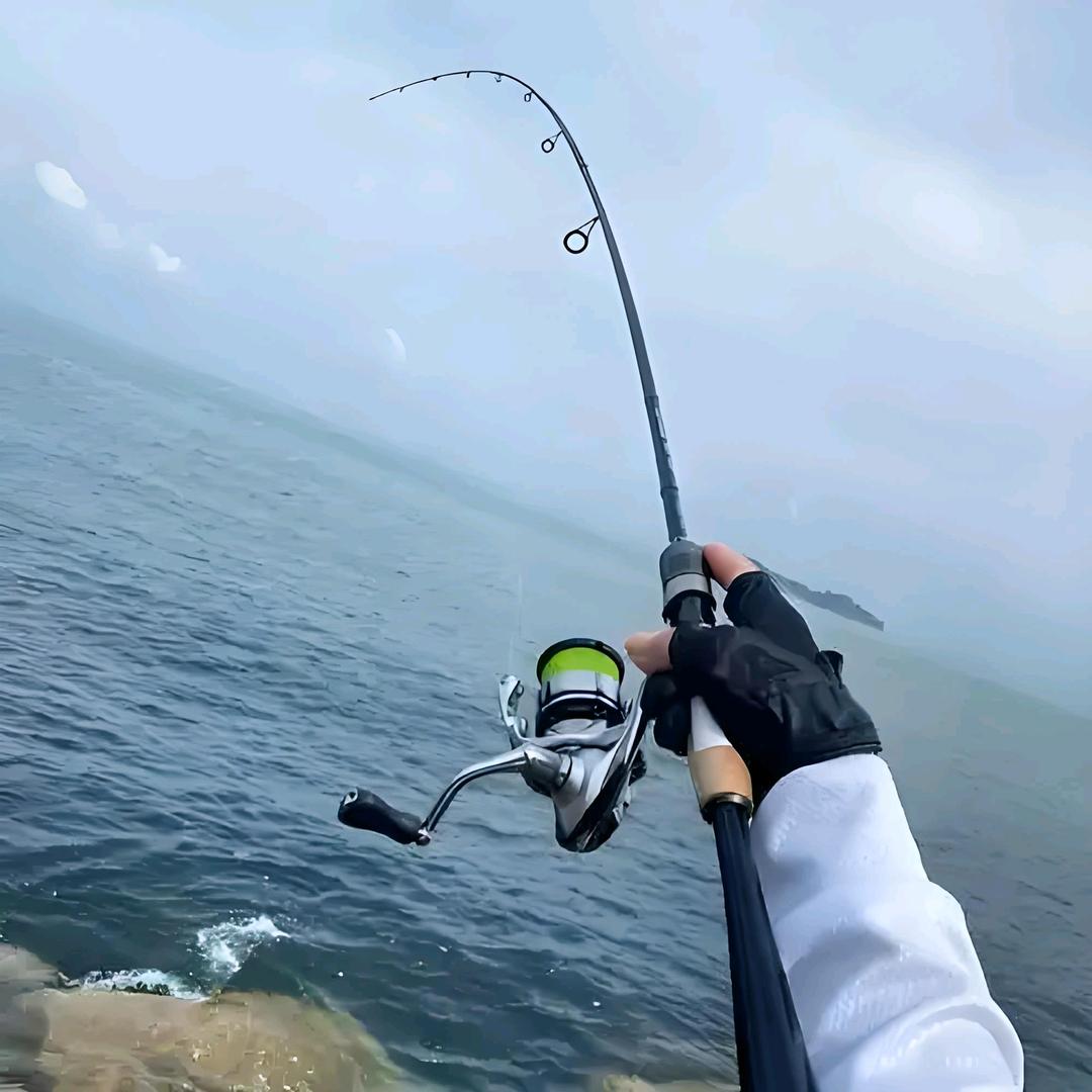 🎣垂钓江湖🐟🐠