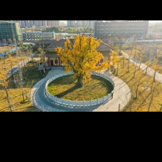 番茄炒蛋盖浇饭