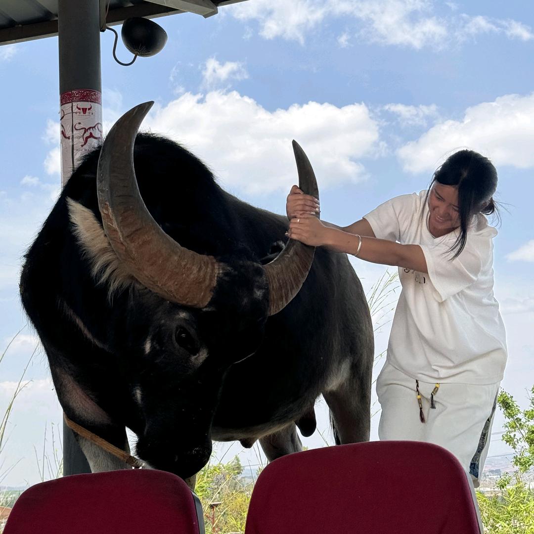 养牛妹🐮小妖～