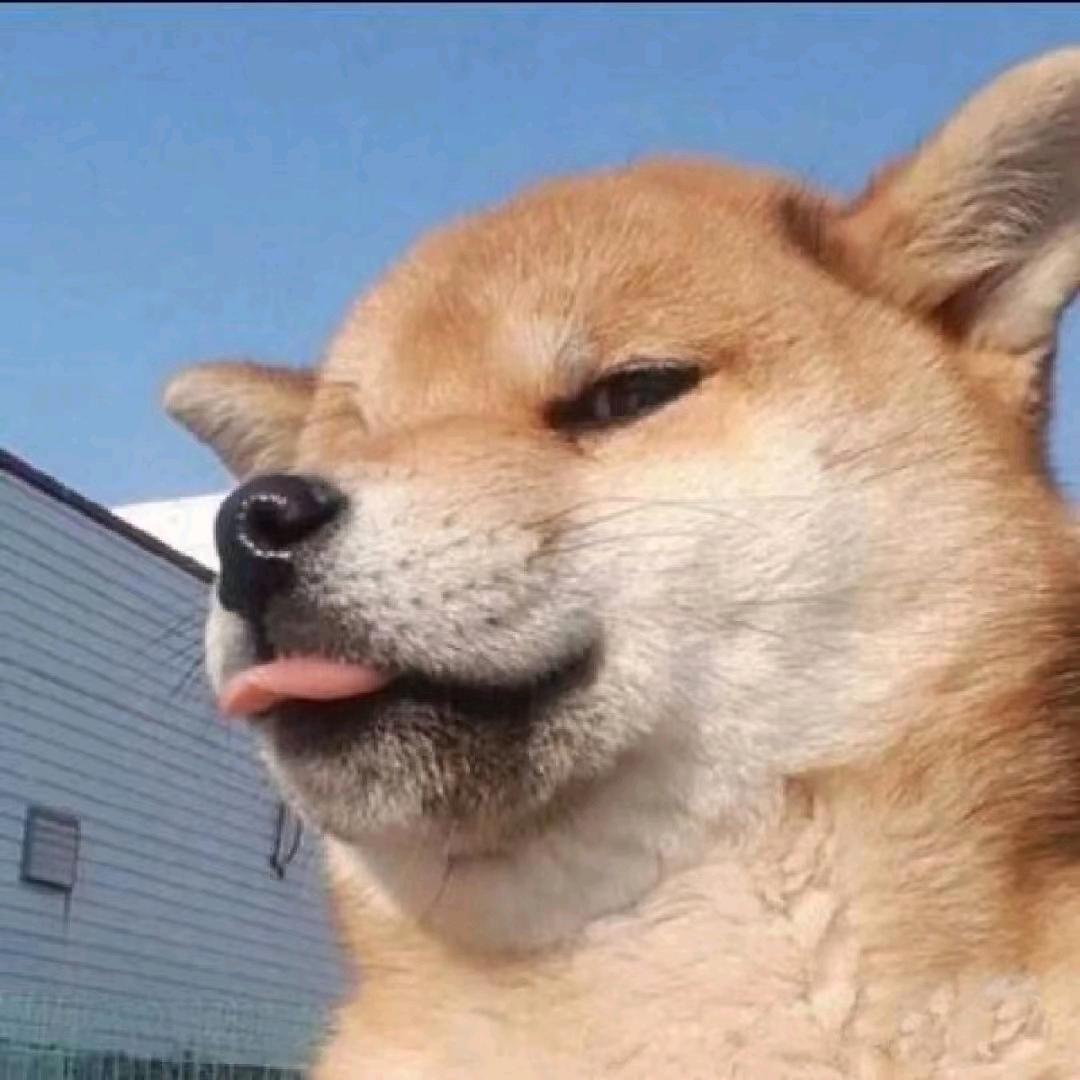 自由🇨🇳🇨🇳🇨🇳