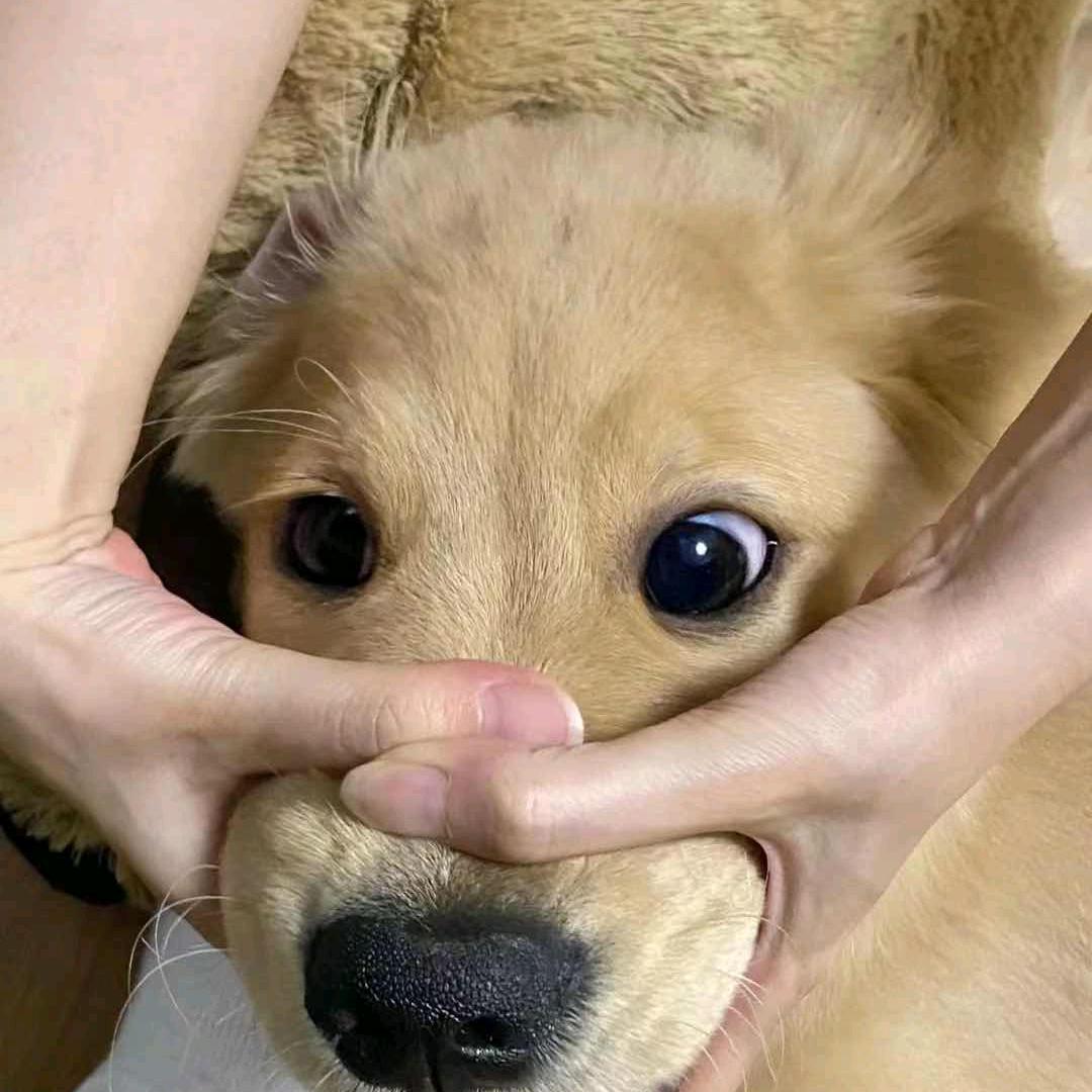 就爱吃糖🤡的生活日记