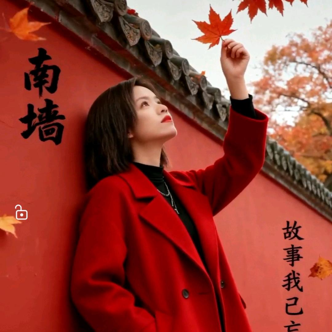 琴૮₍♡♡₎ა儿