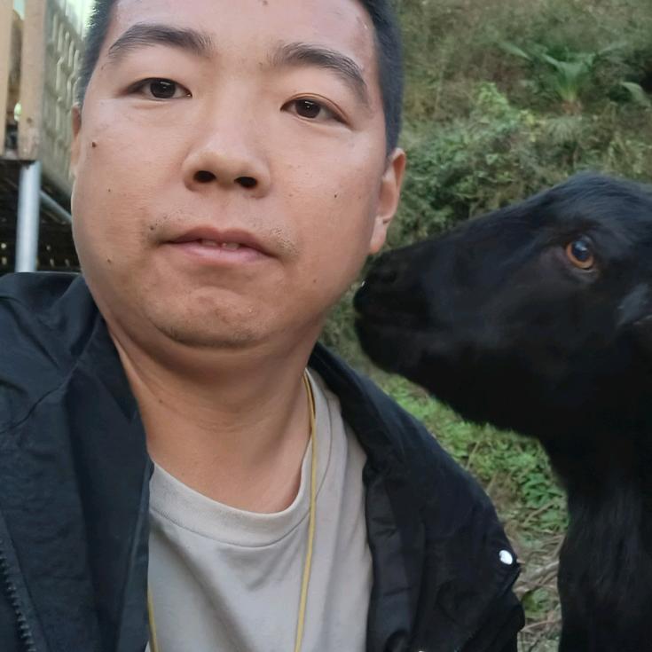 秀山县思扬黑山羊养殖农场