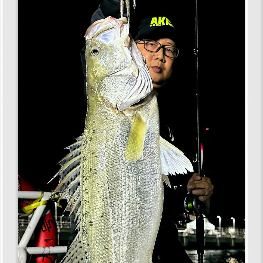 不正经钓鱼的超超