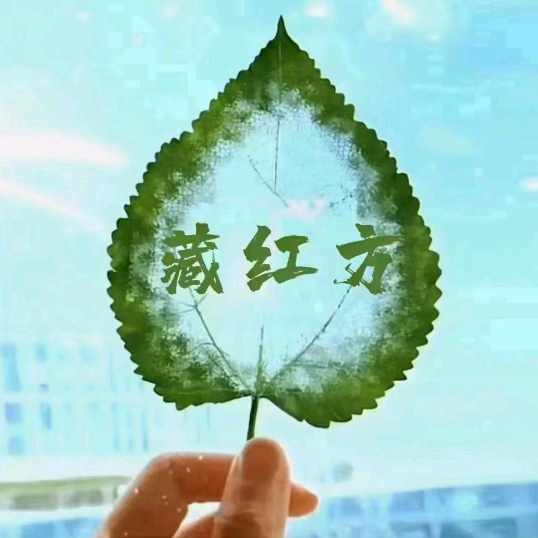 天美窗帘