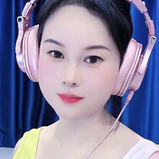 琴公主优盘