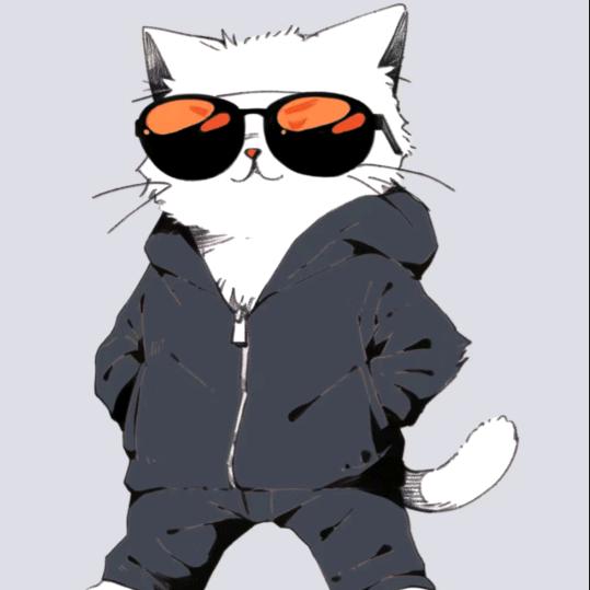 票票猪
