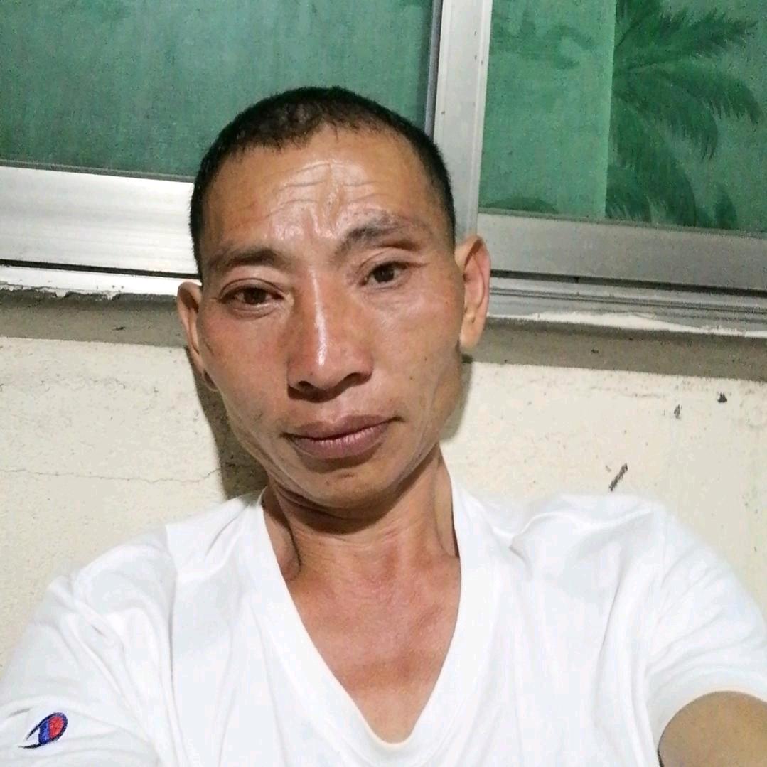 打不死小强