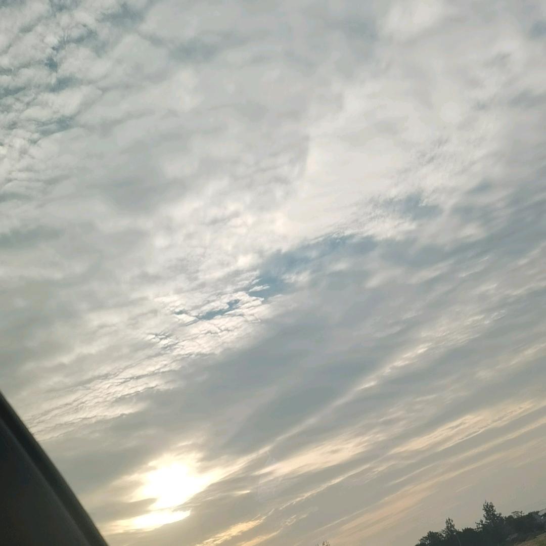 斐效元气堂