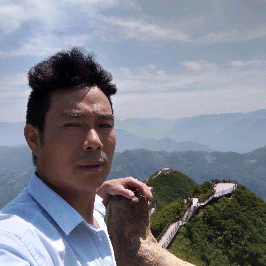 重庆社长(258)