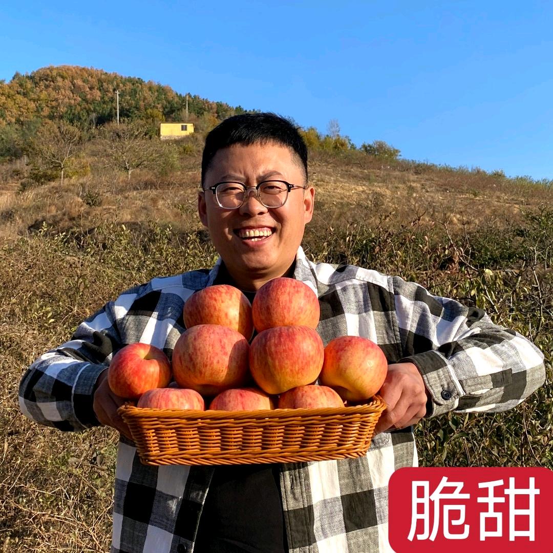 小二哥烟台栖霞苹果