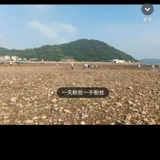 一天一千粉丝量加油