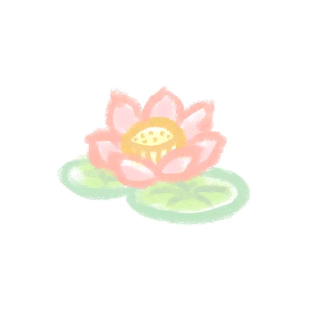 纸飞机
