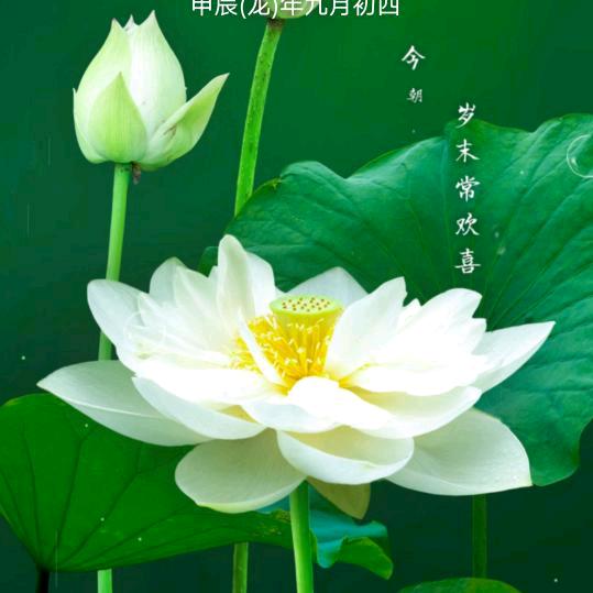 鹿邑崔海涛木工队