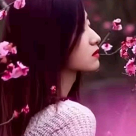 花开花落