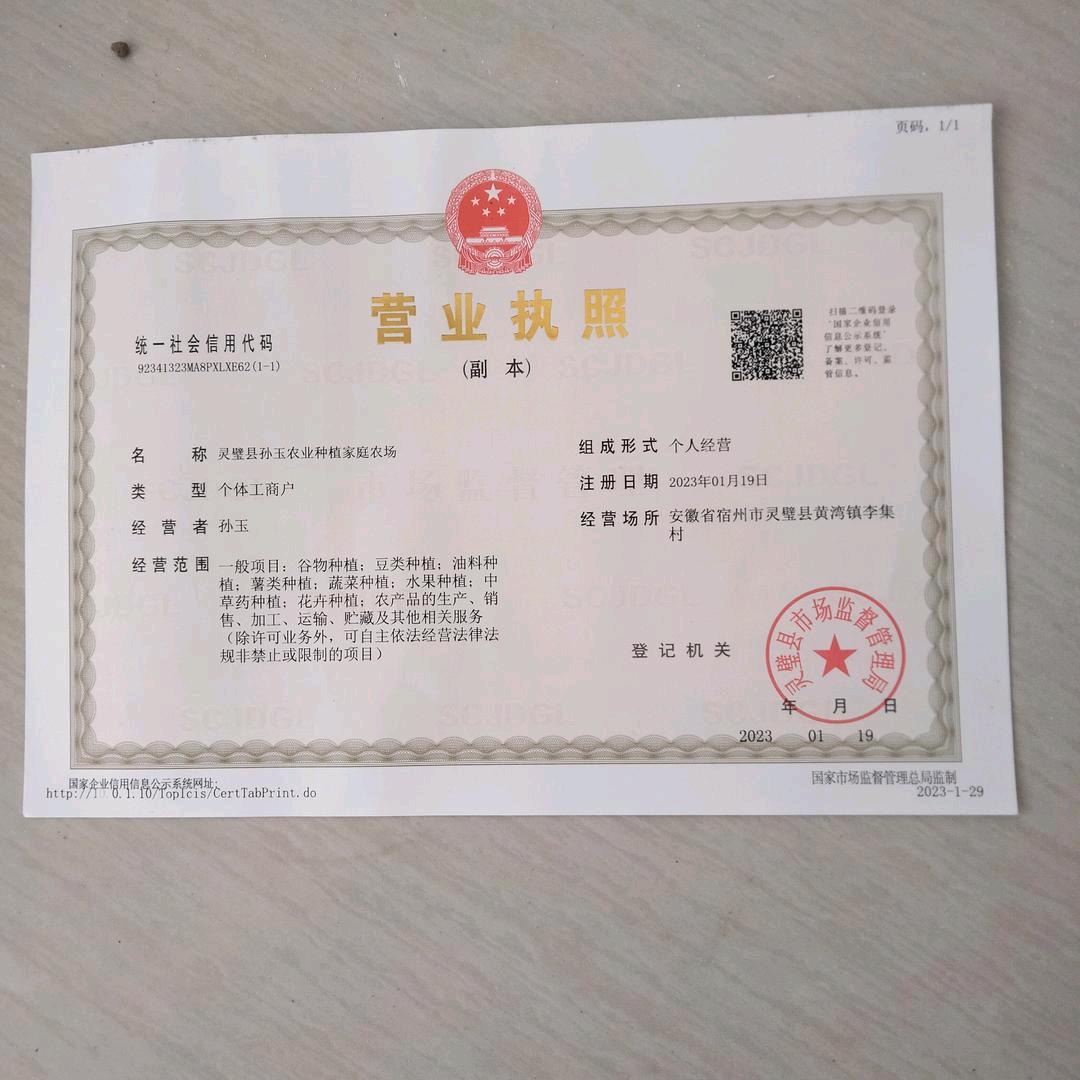 灵壁县，孙玉农业种植家庭农场。