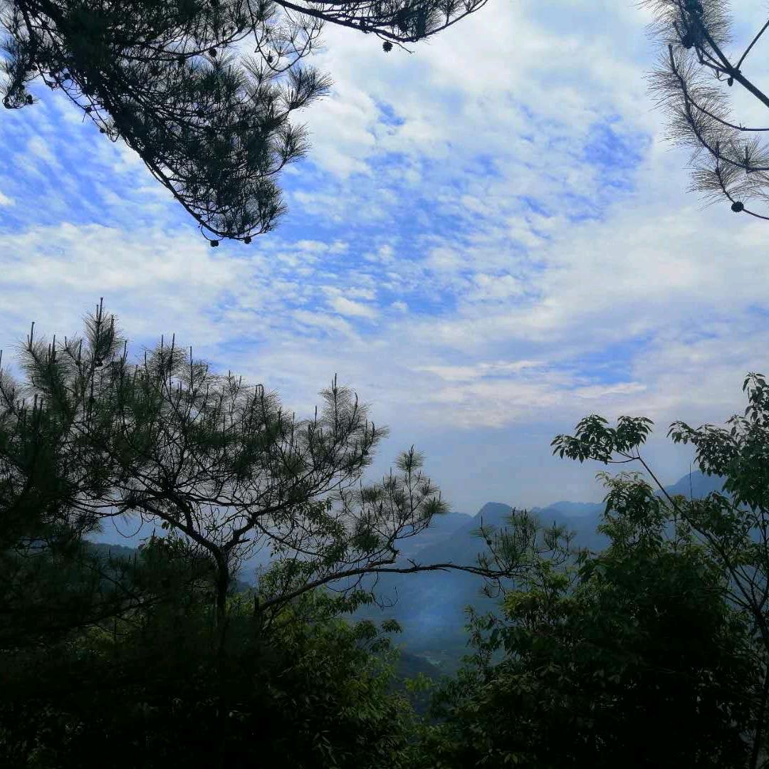 东东