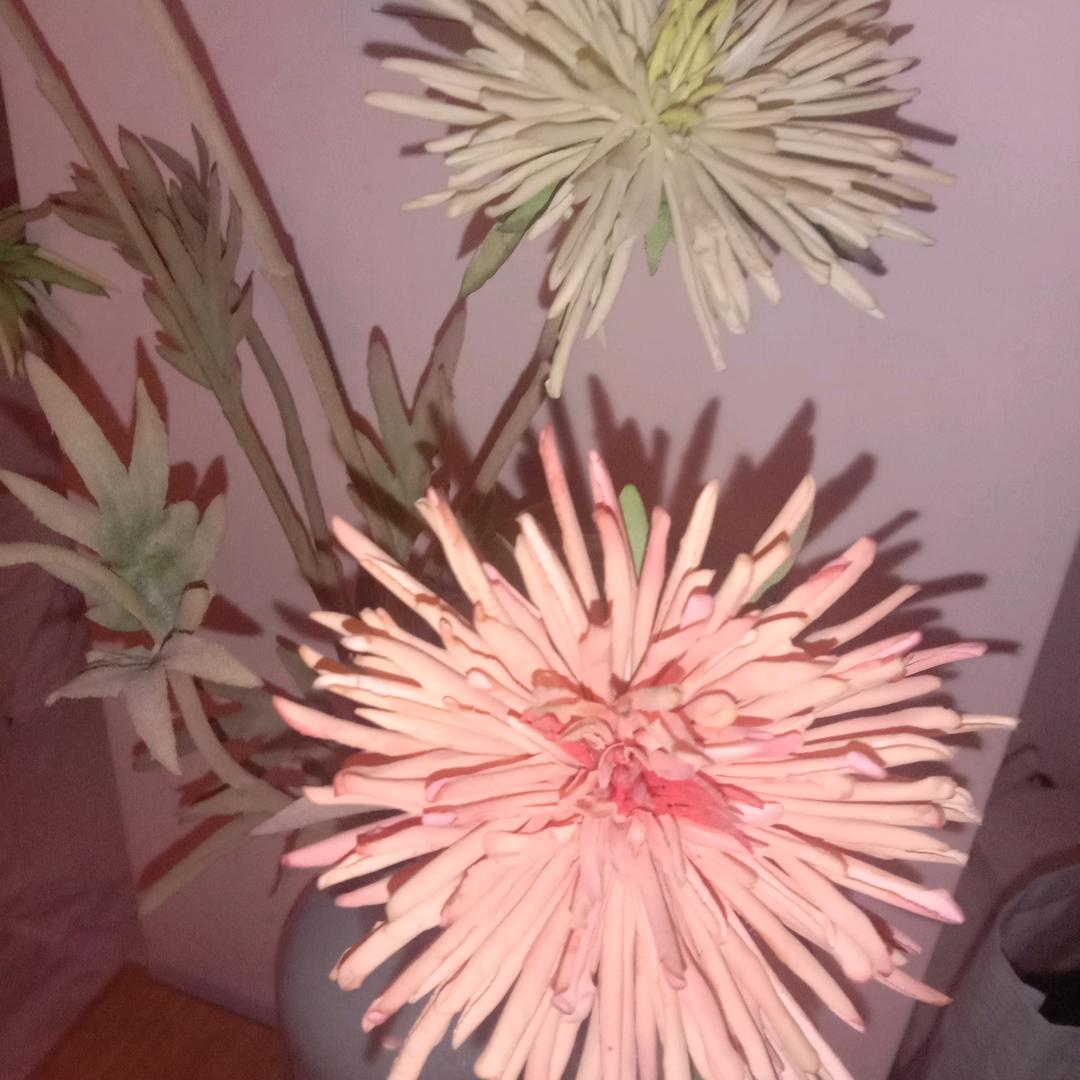 这个网名不好改