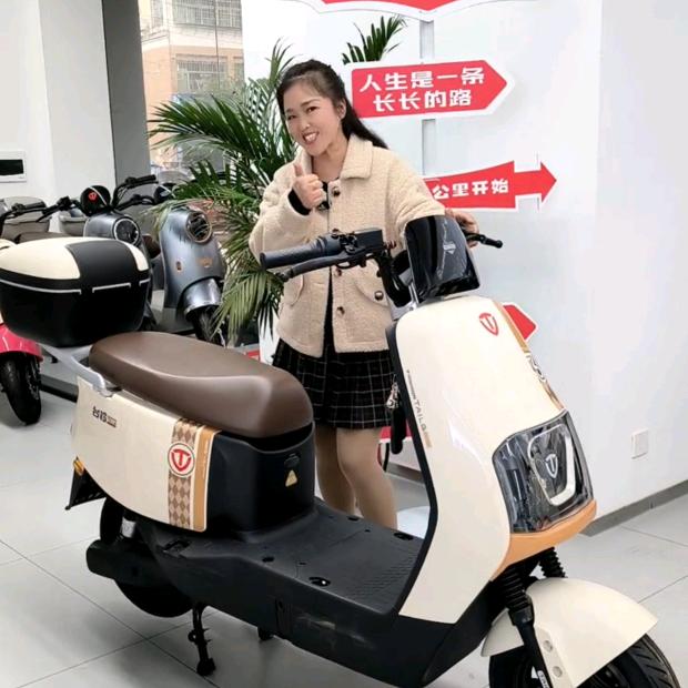 吉安永叔路台铃电动车-艳子