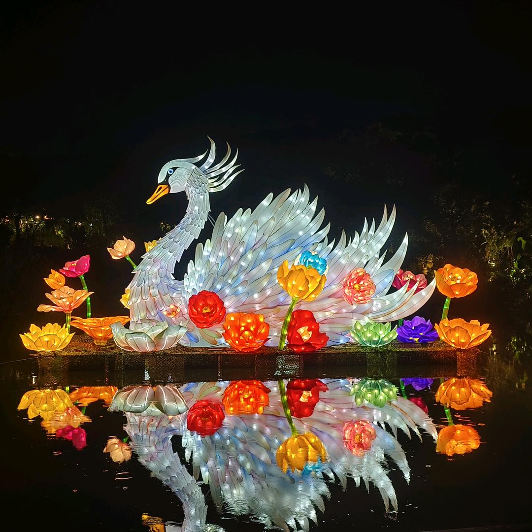 如果没有如果