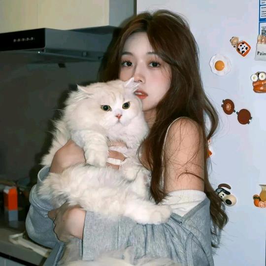 杨QQ0.o