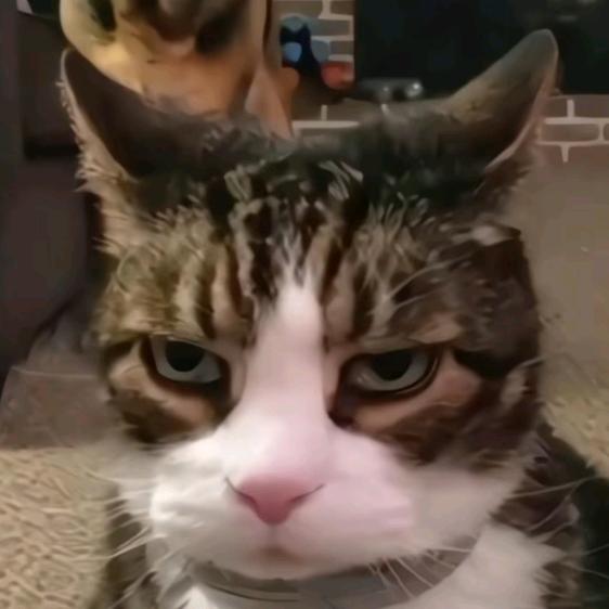 小洺