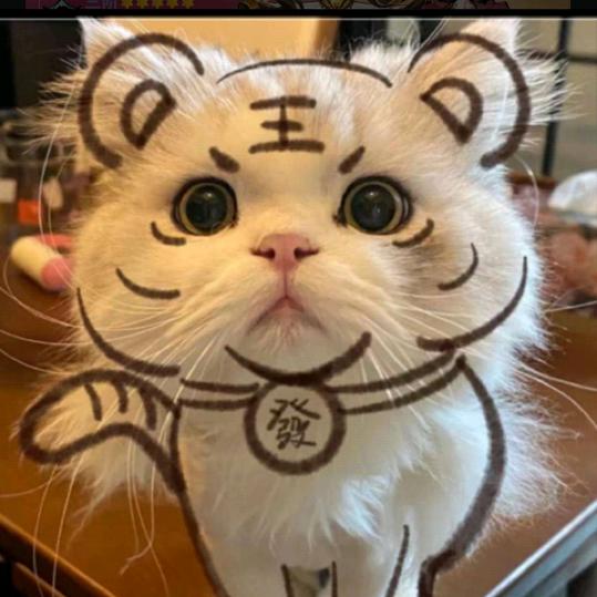 凄凉