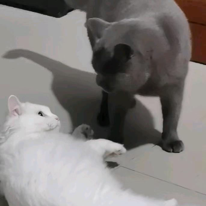 春日暮云